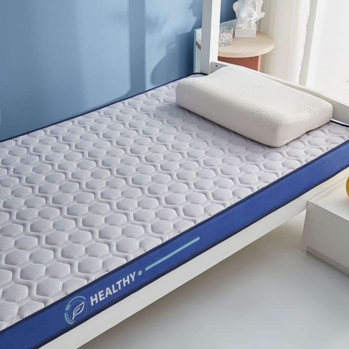 91家纺网 家纺一手货源 找家纺 迪乐妮 2023铂金棉记忆棉炫彩乳胶立体床垫 普信蓝边-灰色