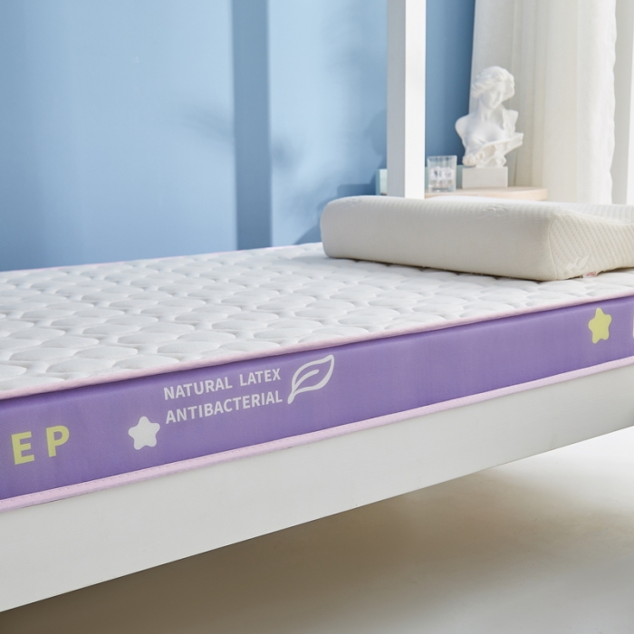 91家纺网 家纺一手货源 找家纺 迪乐妮 2023铂金棉记忆棉炫彩乳胶立体床垫 香芋紫-白色