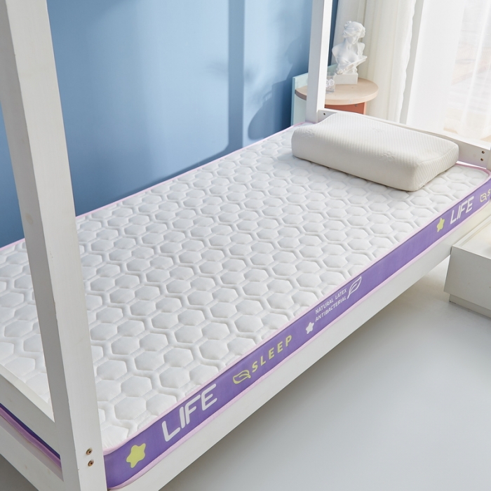 91家纺网 家纺一手货源 找家纺 迪乐妮 2023铂金棉记忆棉炫彩乳胶立体床垫 香芋紫-白色