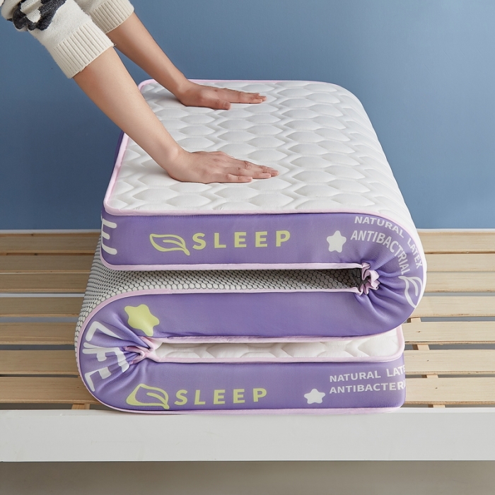 91家纺网 家纺一手货源 找家纺 迪乐妮 2023铂金棉记忆棉炫彩乳胶立体床垫 香芋紫-白色