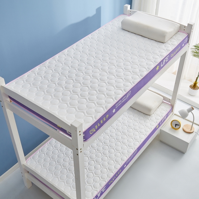 91家纺网 家纺一手货源 找家纺 迪乐妮 2023铂金棉记忆棉炫彩乳胶立体床垫 香芋紫-白色