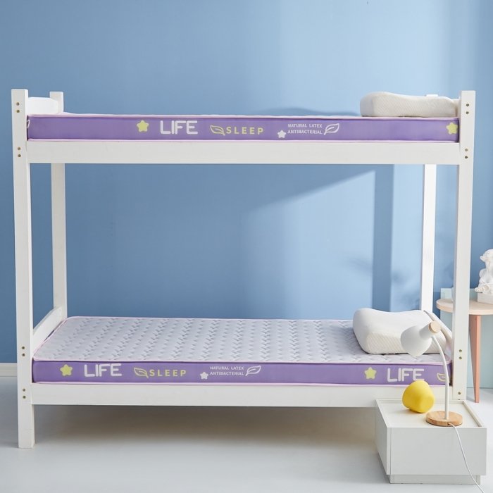 91家纺网 家纺一手货源 找家纺 迪乐妮 2023铂金棉记忆棉炫彩乳胶立体床垫 香芋紫-灰色