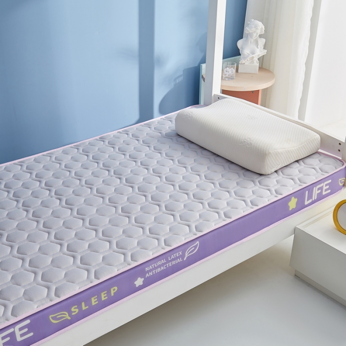 91家纺网 家纺一手货源 找家纺 迪乐妮 2023铂金棉记忆棉炫彩乳胶立体床垫 香芋紫-灰色