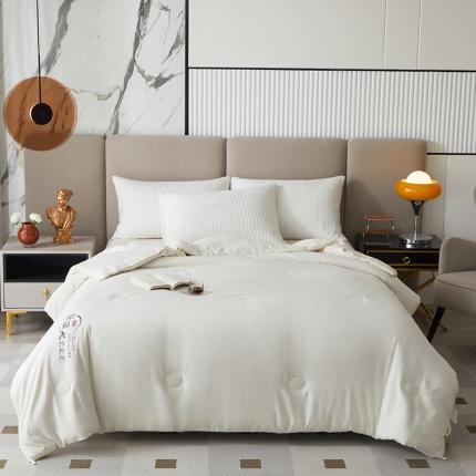 爱宝被业 2025新款亲肤棉被被子被芯系列 米白