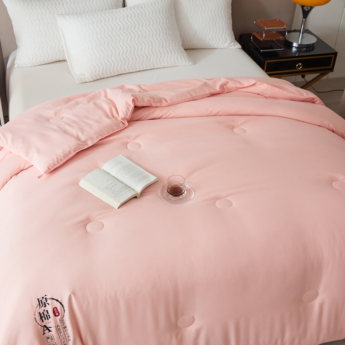 91家纺网 家纺一手货源 找家纺 爱宝被业 2025新款亲肤棉被被子被芯系列 玉色