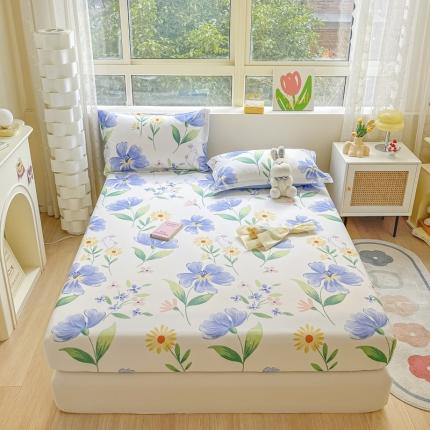 91家纺网 家纺一手货源 找家纺 总菲梵 2025年新款喷气小清新全棉印花单品床笠及三件套