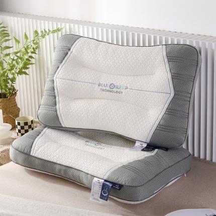 （总）天意美枕芯 2023新款舒适健康功能分区枕