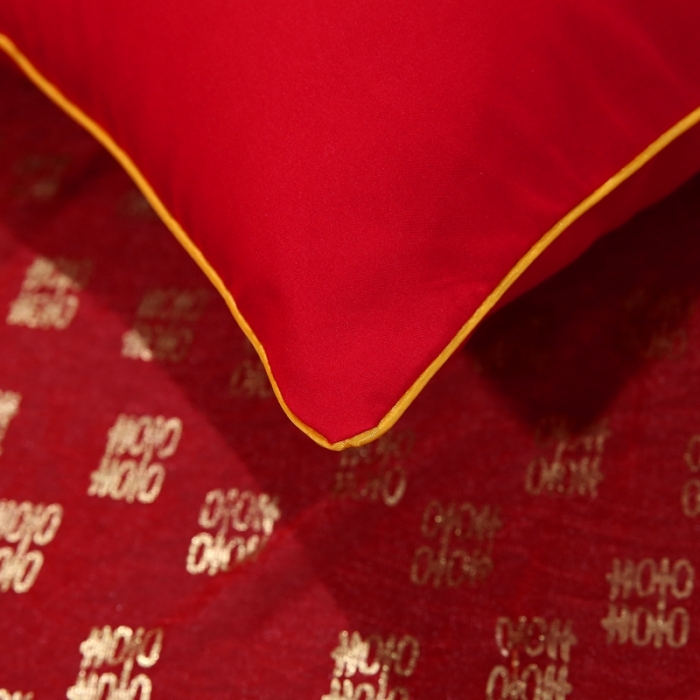 91家纺网 家纺一手货源 找家纺 天意美枕芯 2023新款亲肤磨毛单边刺绣枕 真爱一生