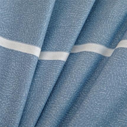 凌云 2025新款AB版全棉加宝宝绒系列床垫套 雏菊暗恋灰