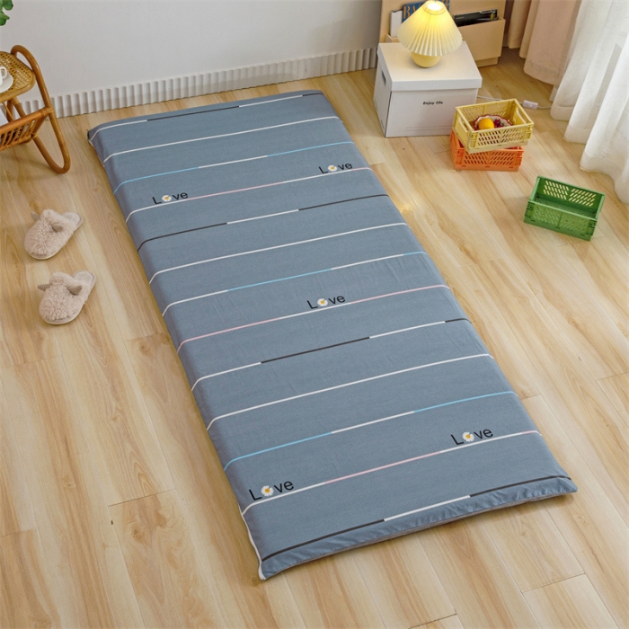 91家纺网 家纺一手货源 找家纺 凌云 2025新款AB版全棉加宝宝绒系列床垫套 雏菊暗恋灰