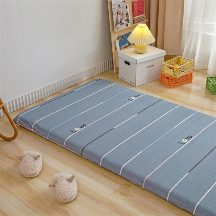 91家纺网 家纺一手货源 找家纺 凌云 2025新款AB版全棉加宝宝绒系列床垫套 雏菊暗恋灰