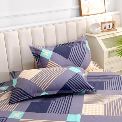 梵巢 芦荟棉单枕套48*74cm幻境