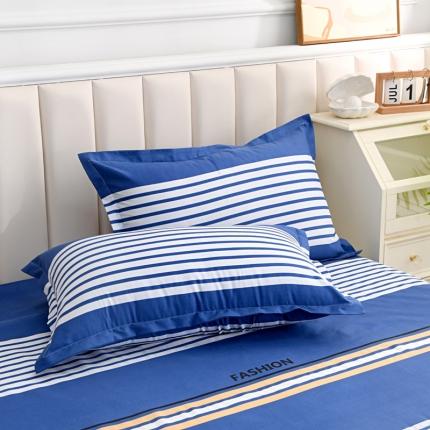 梵巢 芦荟棉单枕套48*74cm卡农