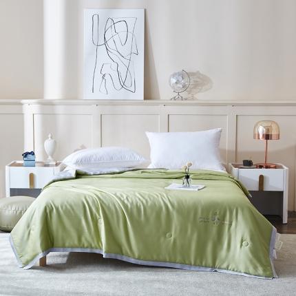 华盛 2023新款春夏天丝夏凉被莫代尔天丝蚕丝夏被 绿拼浅灰