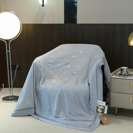 91家纺网 家纺一手货源 找家纺 太阳羽2025新款40s冰蚕科技天丝镂空夏被绣花夏凉被空调被清雅冰-灰