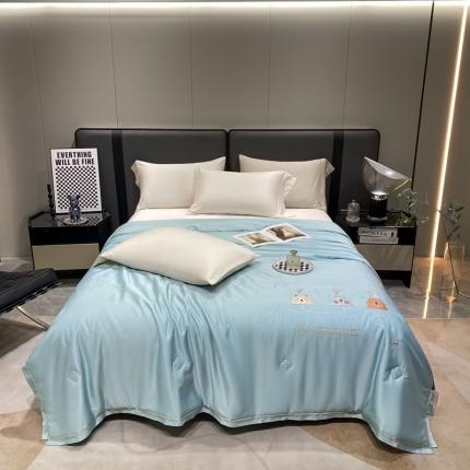 91家纺网 家纺一手货源 找家纺 (总) 米洛贝伊 2023新款莫代尔羽丝棉夏被-风的故事系列