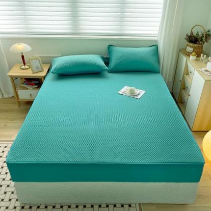 91家纺网 家纺一手货源 找家纺 忘忧草 2023新款A类针织棉夹棉防水床笠 翡翠绿