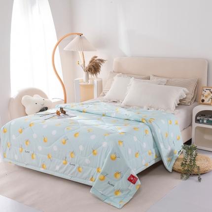 印花亲肤夏凉被  被子夏被空调被