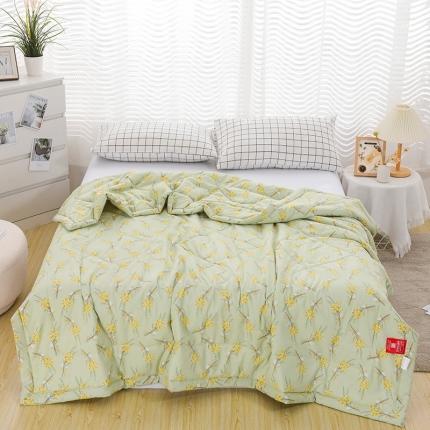 印花亲肤夏凉被  被子夏被空调被