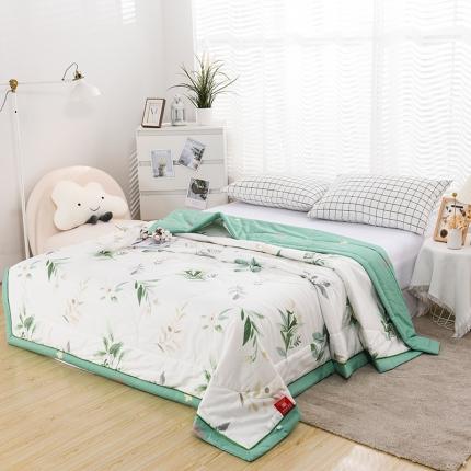 全棉印花夏凉被  夏被空调被