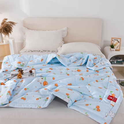 91家纺网 家纺一手货源 找家纺 印花亲肤夏凉被  被子夏被空调被