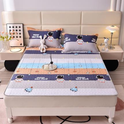 床笠人家 2025新款全棉夹棉防水床垫 太空旅行