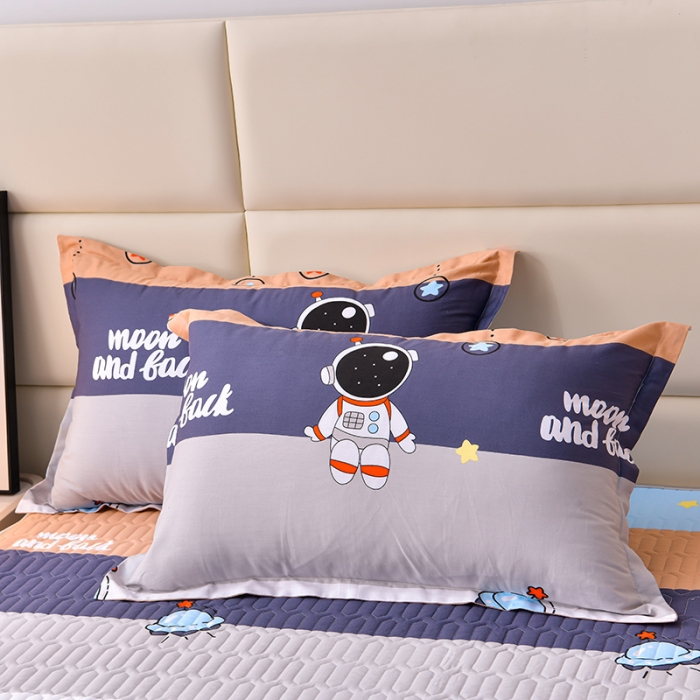 91家纺网 家纺一手货源 找家纺 床笠人家 2025新款全棉夹棉防水床垫 太空旅行