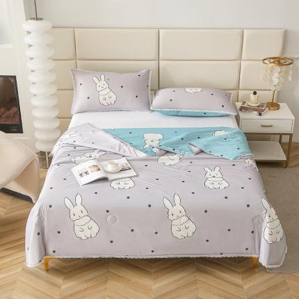 91家纺网 家纺一手货源 找家纺 （总)千逸虹2024新款A类冰淇淋凉感丝夏被可机洗空调被夏凉被大豆夏被