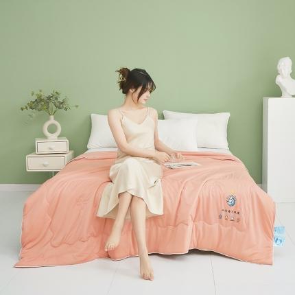 91家纺网 家纺一手货源 找家纺 （总）易展 2023新款直播爆款加厚凉感丝夏被