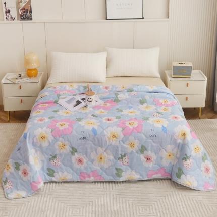 91家纺网 家纺一手货源 找家纺 （总）欧喜璐 2025新款钻石绒夏被空调被超声波压花礼品被