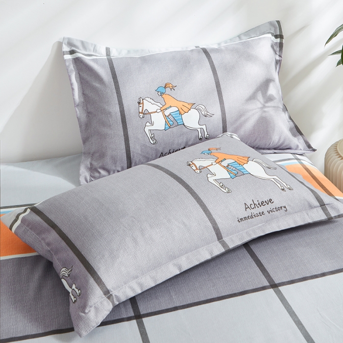 91家纺网 家纺一手货源 找家纺 仟人梦 2024新款直播爆款植物羊绒四件套单被套 AA追风骑士