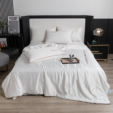 91家纺网 家纺一手货源 找家纺 梦镜 2025新款轻奢刺绣冰丝凉感丝夏被四件套 月光白