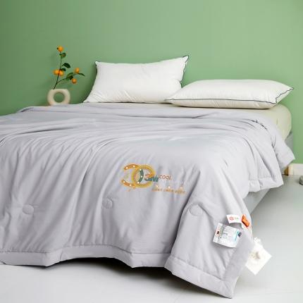 伊被源 2023新款26℃小凉皮蚕蛹蛋白夏被 月光灰