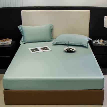 （总）新款100s兰晶精天丝床笠