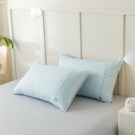 91家纺网 家纺一手货源 找家纺 798 2023新款小香全棉单品枕套