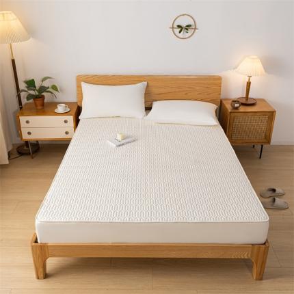 鑫钰 2023新款经典款防水床笠 金典款-优雅白