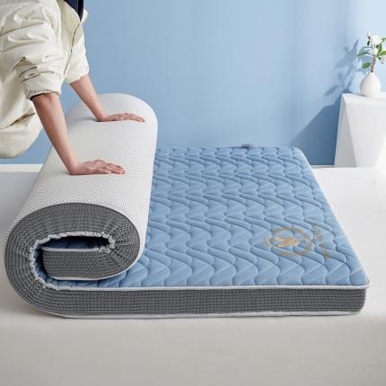 91家纺网 家纺一手货源 找家纺 鹿辉2023新款烫画牛奶丝立体床垫 如意兔蓝波浪