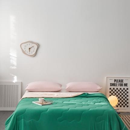 91家纺网 家纺一手货源 找家纺 暖生活 2024新款天山锦凉感丝超柔西瓜凉被夏被 瓜瓜绿