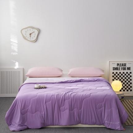 91家纺网 家纺一手货源 找家纺 暖生活 2024新款天山锦凉感丝超柔西瓜凉被夏被 瓜瓜紫