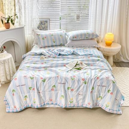 91家纺网 家纺一手货源 找家纺 （总）莱宁    2023直播新款13070喷气全棉夏被四件套空调被子