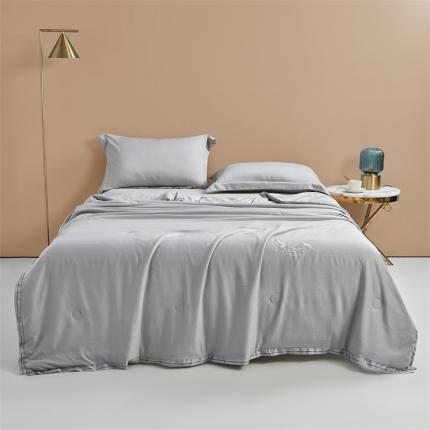 畅销被业 2024新款燕窝蛋白夏被 被子被芯 绅士灰