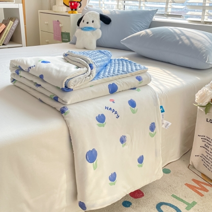 91家纺网 家纺一手货源 找家纺 （总）大彩家居2023凉感丝豆豆被夏被被子夏凉被空调被