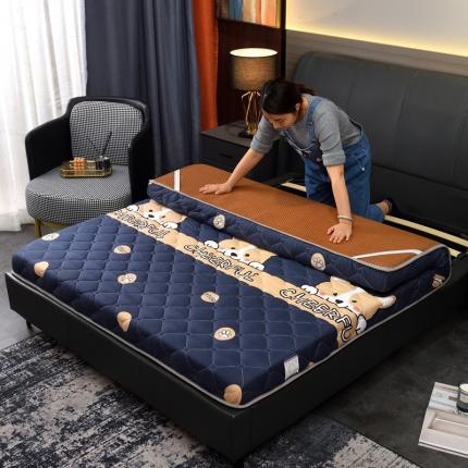 91家纺网 家纺一手货源 找家纺 （总）张先生2024印花大床双面藤席+床垫