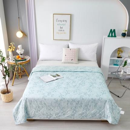 91家纺网 家纺一手货源 找家纺 （总）（总）欧雅搁2025新款水洗棉夏被跑量夏凉被空调被