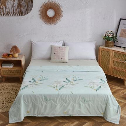 91家纺网 家纺一手货源 找家纺 （总）（总）欧雅搁2025新款水洗棉夏被跑量夏凉被空调被