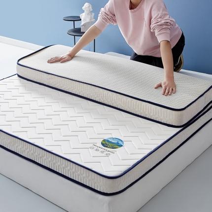（总）子鹏床垫 2023新款立体边纯色床垫
