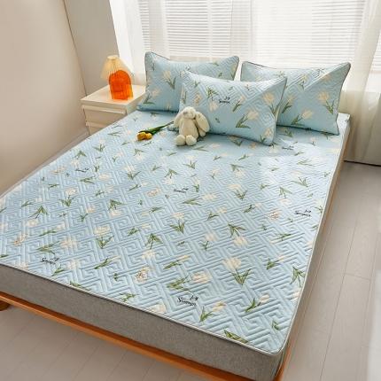 （总）舒居 2023新款软床垫全棉床护垫席梦思保护垫床单