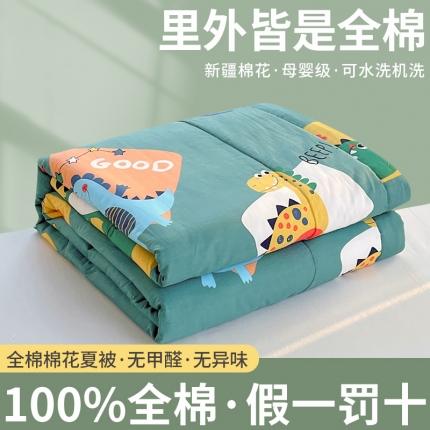 眠优居 2023新款全棉棉花印花夏被 恐龙家族