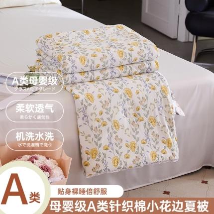 91家纺网 家纺一手货源 找家纺 （总）帕拉美拉 2025新款直播供货针织棉印花夏被