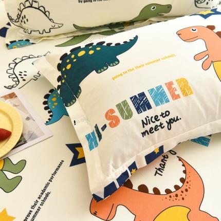 91家纺网 家纺一手货源 找家纺 （总）名优 2023新款全棉13070印花系列-单枕套